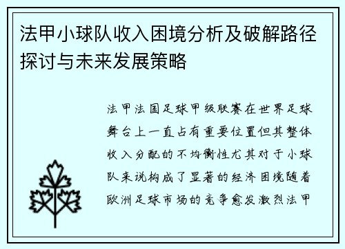 法甲小球队收入困境分析及破解路径探讨与未来发展策略